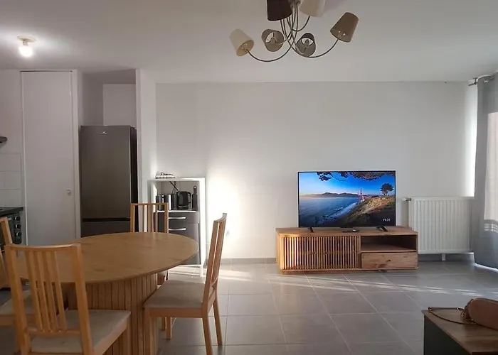 Apartamento T2 Charmant, Spacieux Parking Prive Tram Et Metro