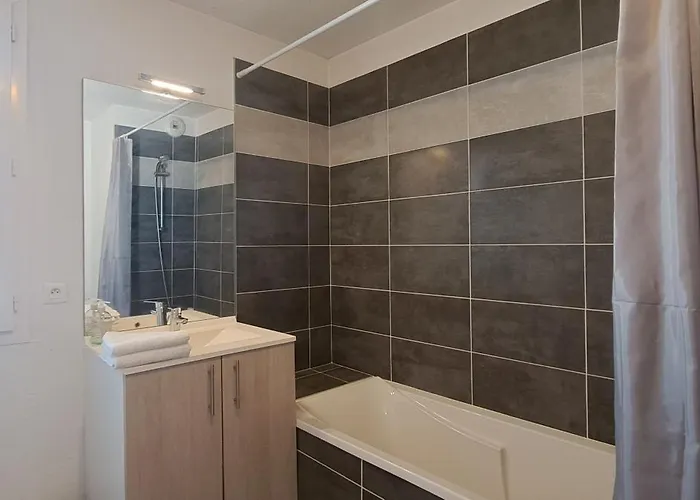 Appartement T2 Charmant, Spacieux Parking Privé Tram Et Metro *